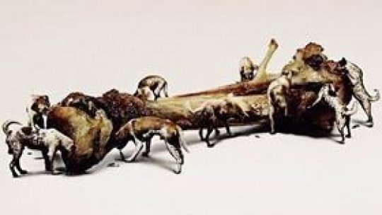 Regulament de ordine eurointerioară