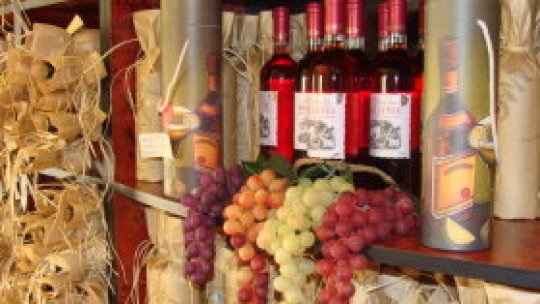 Drumul vinului din vie până-n butelie