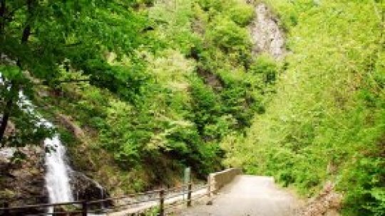 Parcul Naţional Cozia