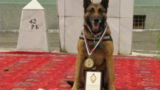 Urmașii lui Costel de la Centrul Chinologic Sibiu