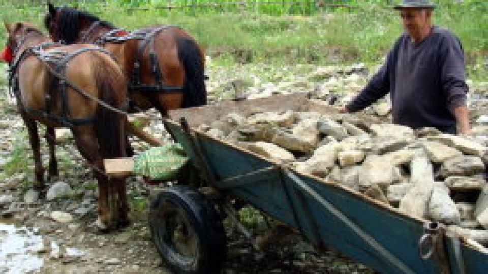 România de la firul ierbii