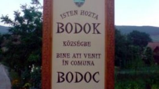 Voluntariat în Covasna