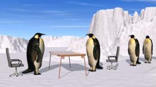 Cum te prezinți la un interviu pentru angajare?