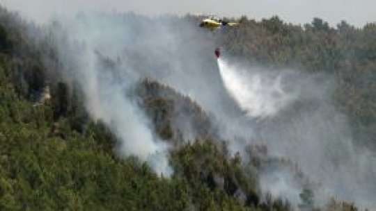 Incendiu de pădure în comuna Leşu