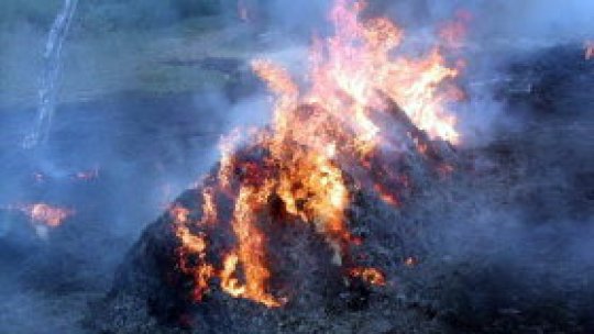 Fără subvenţii dacă se ard miriştile