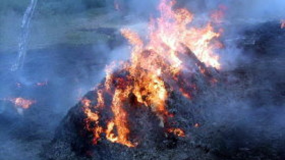 Fără subvenţii dacă se ard miriştile