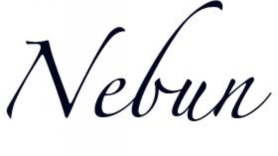 Nebun