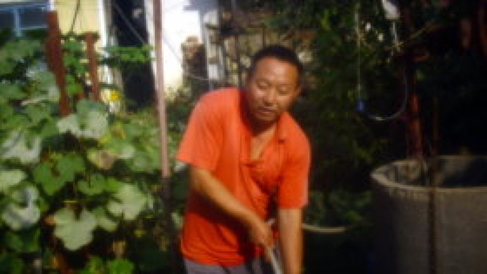 Multe sărbători şi prea multă băutură