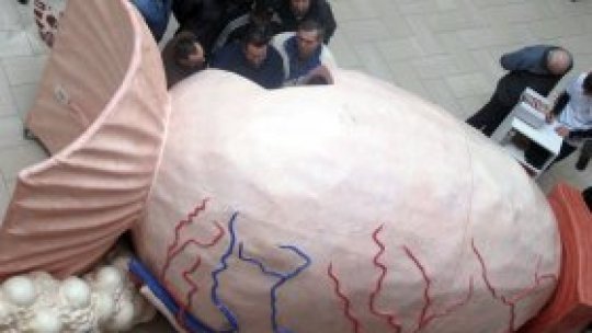 Caravana prostatei, la Iaşi