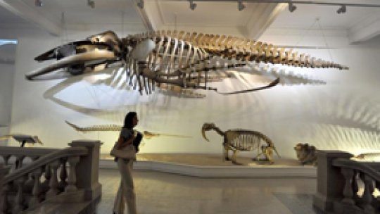 Mii de bucureşteni au vizitat Muzeul Grigore Antipa