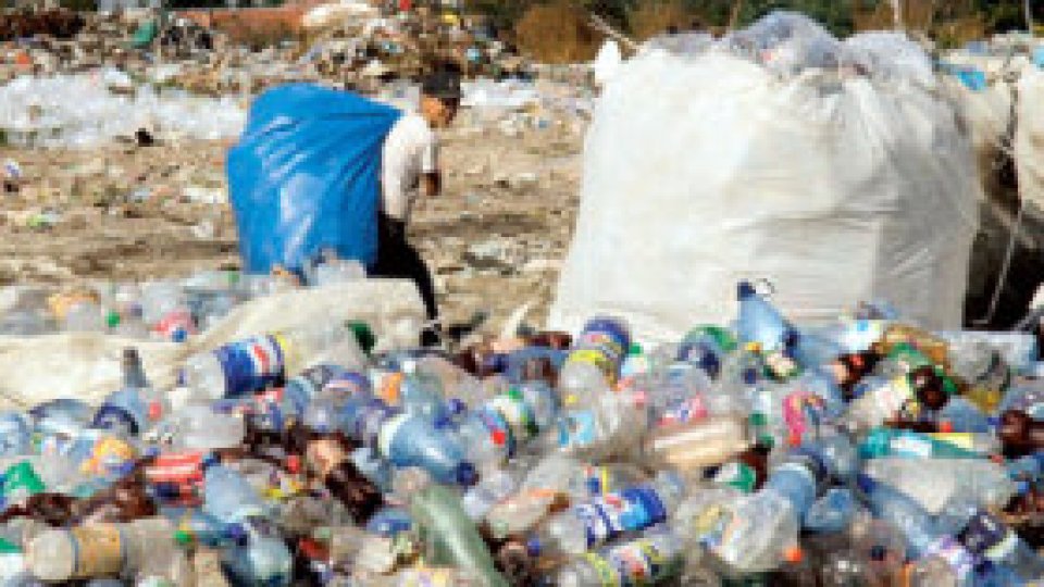 PET-urile, o problemă în România