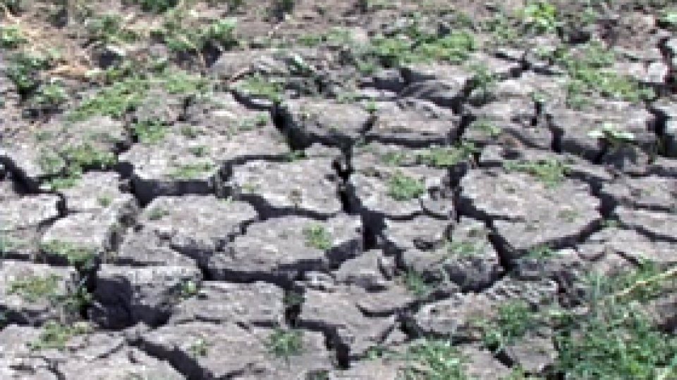 Seceta creează probleme în mai multe judeţe din ţară