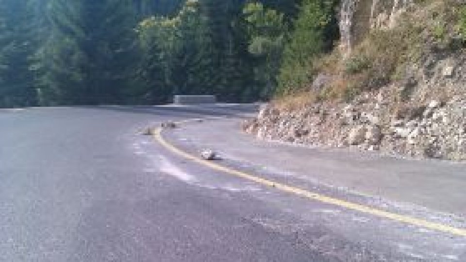 Asfaltul de pe "drumul Babelor" transformă Parcul Bucegi