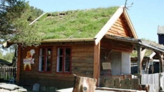 Acoperişuri înierbate