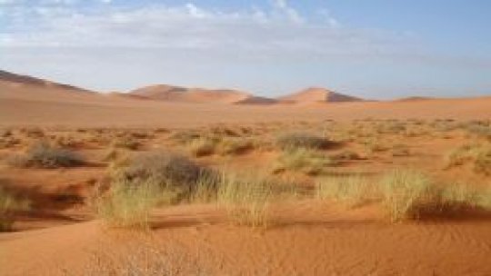 O bucată din Sahara, la noi în ţară