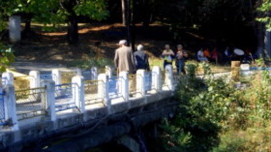 Apreciate doar la nevoie