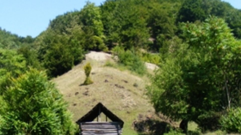 Călător în Țara Almăjului