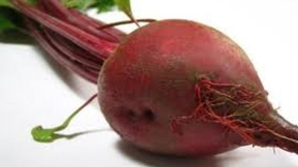 Borş de sfeclă