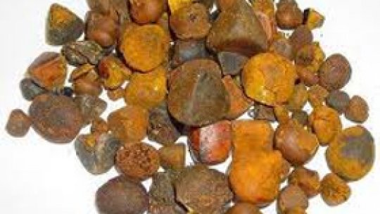 In atenţia “oamenilor cariere”