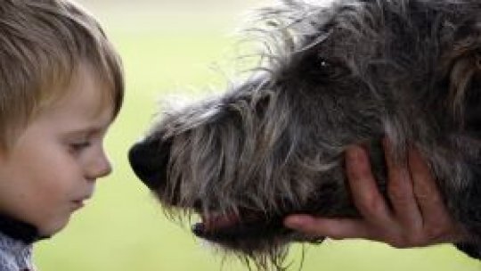 Test de lectură în faţa câinelui