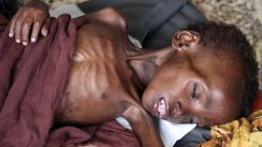 Aproximativ 12 milioane de somalezi au nevoie de mâncare