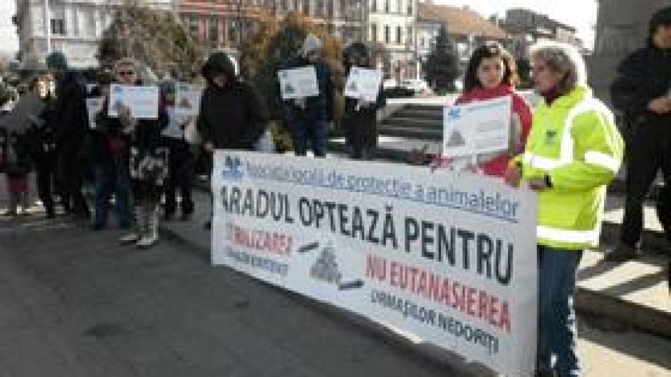 Proteste la Arad contra eutanasierii câinilor fără stăpân