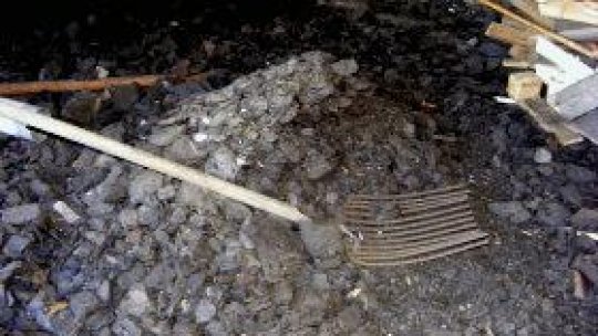 Berbeşti, oraşul paradoxurilor