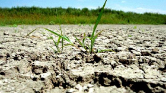 Seceta îngrijorează agricultorii şi autorităţile