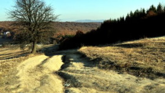 Seceta face ravagii în zona Brăilei