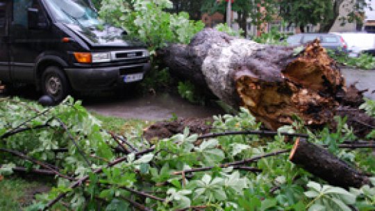 Pagube în Bucureşti în urma unei furtuni puternice