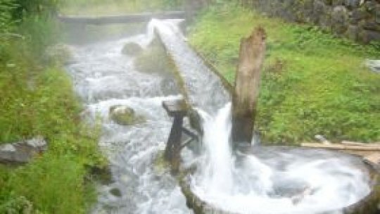 Un fel de "Nufărul" arhaic mai functionează încă în Maramureş