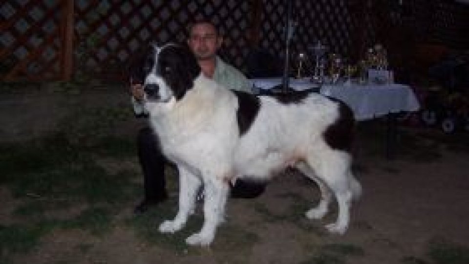 Despre o campioană europeană!