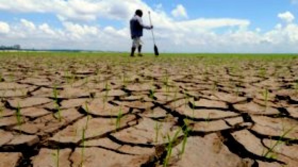 Termenul pentru ajutorul de secetă a expirat