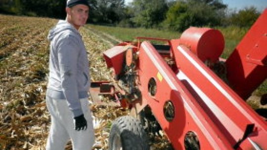 Fermierii de apartament