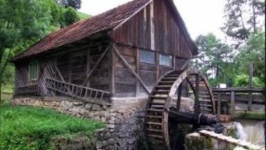 Astăzi ne ducem la supermarket să luăm și făină, și mălai