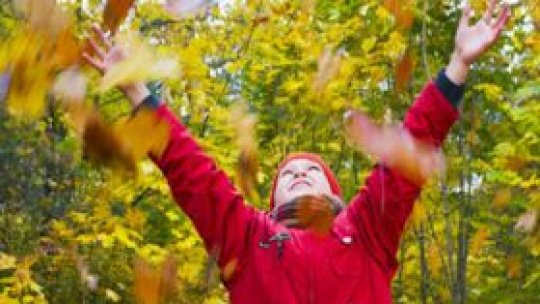 Cum ne protejăm de alergiile de toamnă