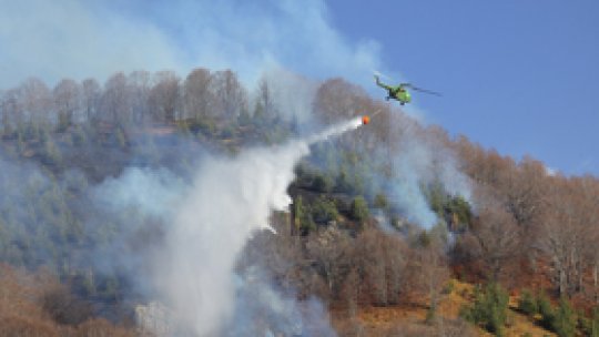 Două incendii de vegetaţie în Argeş