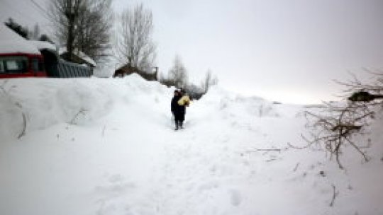 Tablou din Bărăgan