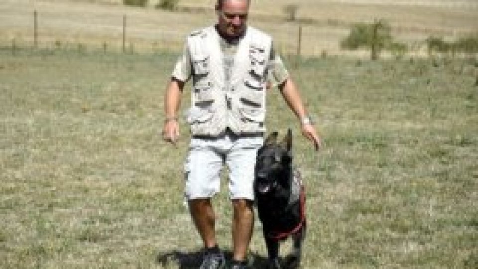 Dresorul de câini din Covasna