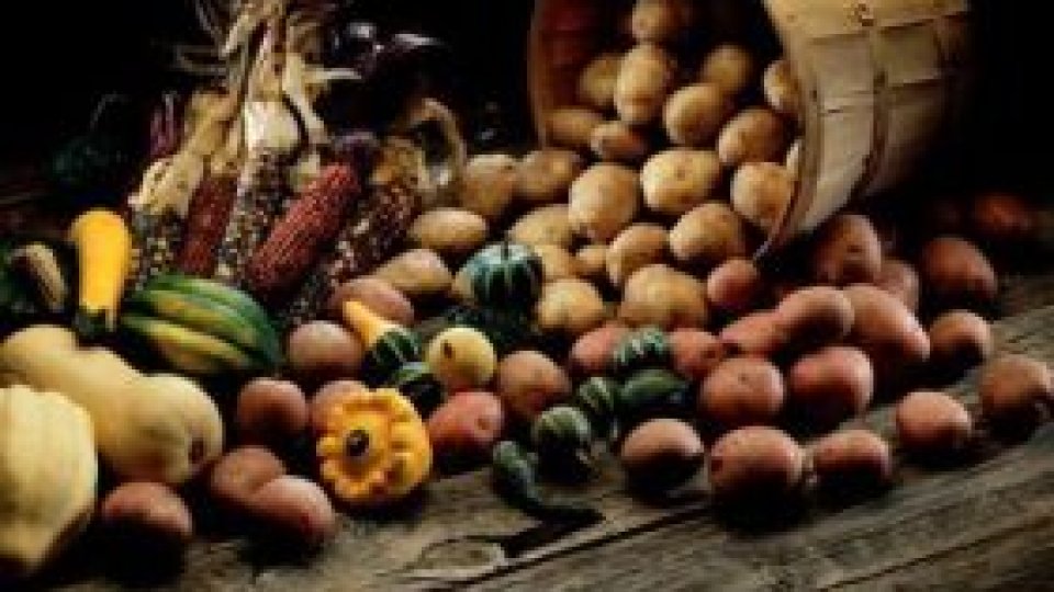 Rețete din Ținutul Pădurenilor