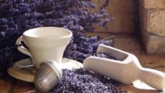 Lavanda - iarba căminului