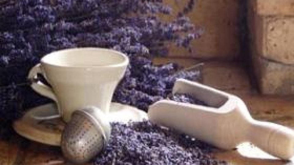 Lavanda - iarba căminului