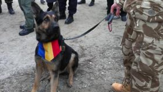 Max - povestea unui câine militar
