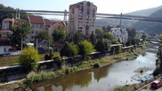 REPORTAJUL VERDE