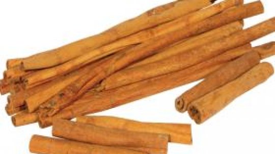 Scorţişoara - esenţa Paradisului