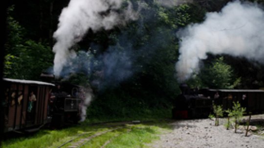 Mi-e dragă România pentru Defileul Vaserului