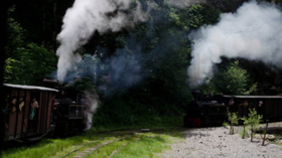 Mi-e dragă România pentru Defileul Vaserului