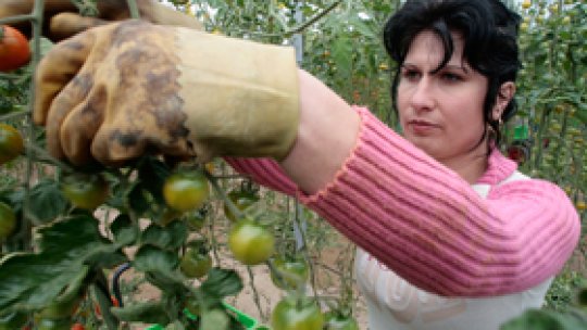 Spania, restricţii pentru români pe piaţa muncii până în 2014