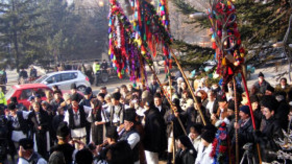 Pițărăii momârlanilor