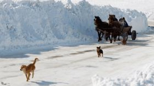 Situaţie de urgenţă în judeţul Vrancea